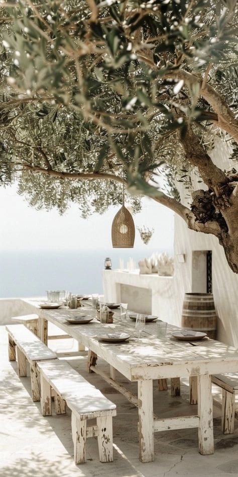 Travel inspired image of large outdoor dining area with seaview, white washed walls and shaded under a big olive tree. 