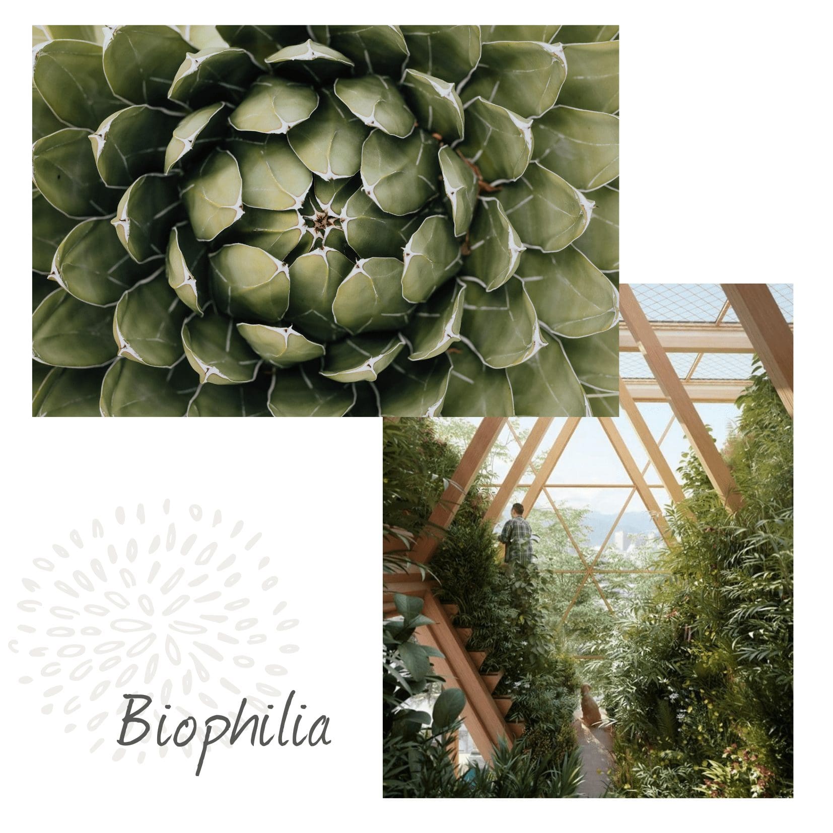 Biophilic Design, Biophilia, Sustainable Interior design, Natualr Home, Slow Living, Green Design